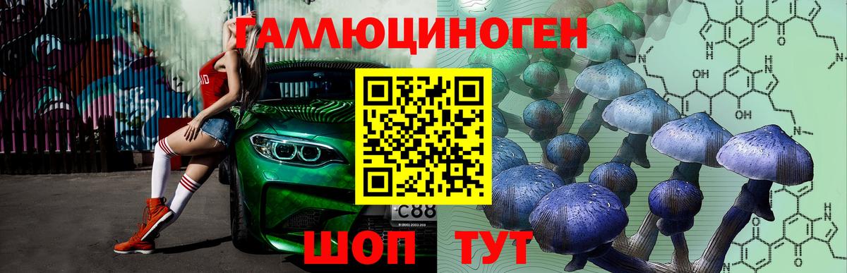 Галлюциногенные грибы Psilocybine cubensis Красный Сулин