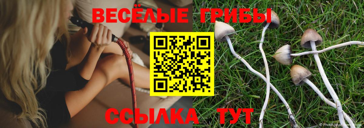 Красный Сулин  даркнет сайт  Вход с VPN  Галлюциногенные грибы мицелий 